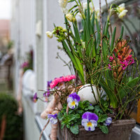 österlicher Blumenschmuck am Fensterbankerl